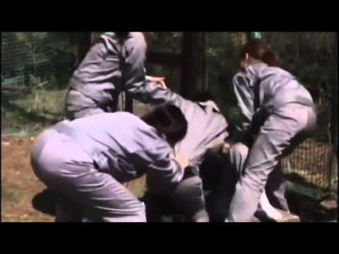 熊切あさ美 『禁断の女子刑務所』 予告編