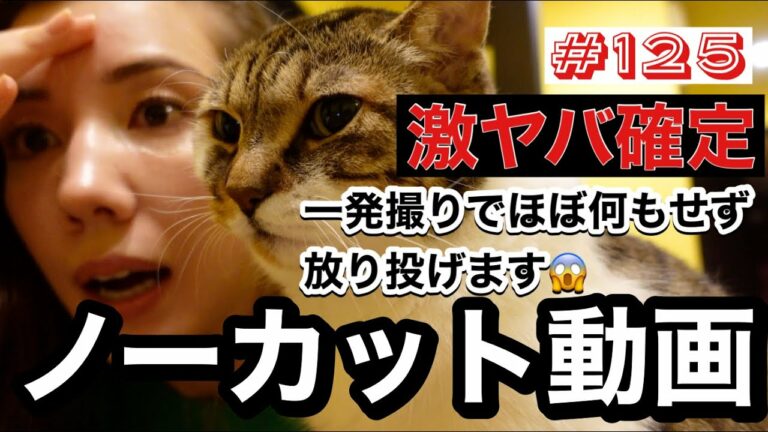 仲里依紗です Mask9 Com 仲里依紗です Mask9 Com