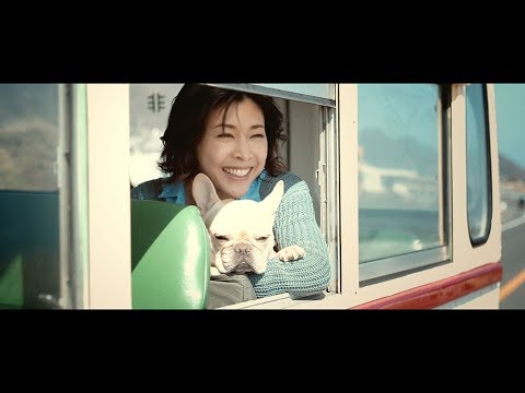 草なぎ剛の愛犬がCMデビュー! 竹内結子と共演