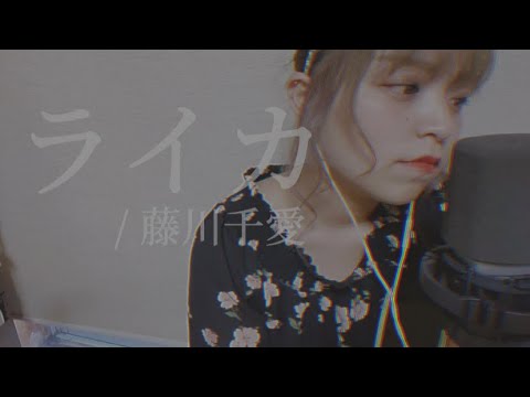 【毎日投稿137日目】ライカ / 藤川千愛 (covered by ニーナ)