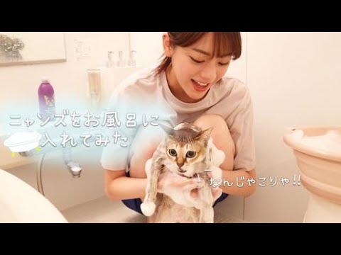 にゃんずをお風呂に入れたらびしょ濡れになってしまいました…。