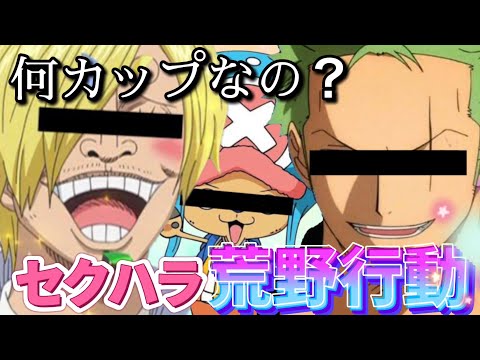 【荒野行動】ワンピースメンバーで荒野行動してみた!!