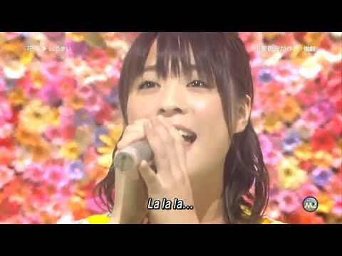 花束▶北乃きい