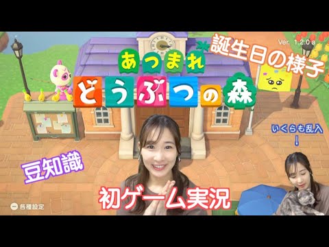 初ゲーム実況【あつまれどうぶつの森】豆知識・誕生日の様子(あつ森)