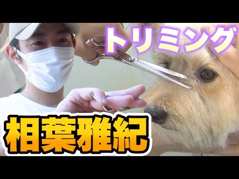 【トリミング】撮影の合間にハサミの使い方を教わる相葉くん【未公開映像】