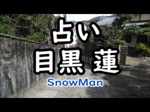 《占い》目黒 蓮(SnowMan)さん《占い》
