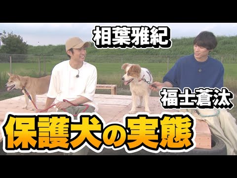 【相葉雅紀&福士蒼汰】保護犬のリアルな実態〜一軒家に100匹…多頭飼育崩壊〜