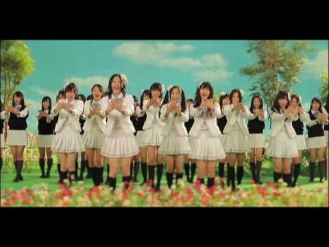 2010/11/17 on sale 4th.Single「コスモスの記憶」Music Video