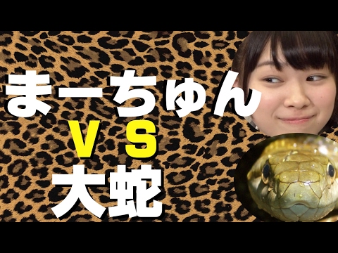 大蛇を頭を乗せて走り回る小笠原茉由【NMB48】【AKB48】