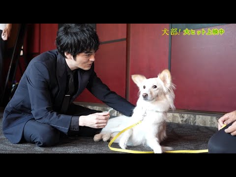 林遣都、「動物と携わる作品をずっとやりたかった」犬と絆を深める姿に感激 映画『犬部!』メーキング映像