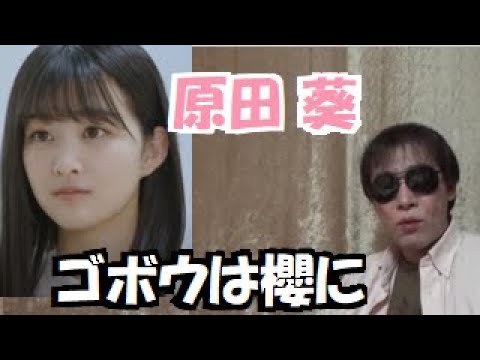原田葵「そこ曲がったら、櫻坂?」以前、復帰後には、ごぼうちゃん小学生キャラは無理があった ~~「櫻坂46 BACKS LIVE!!」3列目メンバーライブは層の厚さを証明する~~