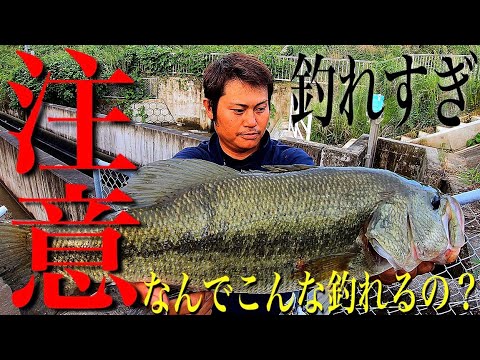 釣れすぎ注意 なんでこんな釣れるの?【佐賀バス釣り】
