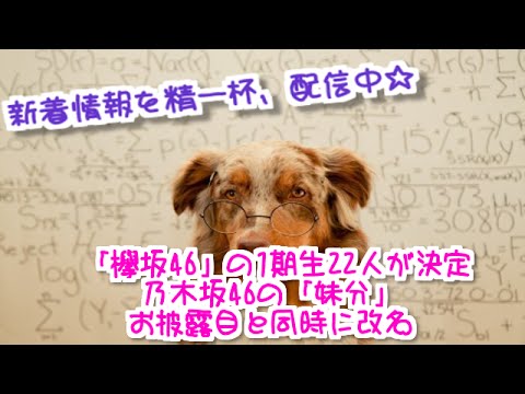 「欅坂46」の1期生22人が決定=乃木坂46の「妹分」、お披露目と同時に改名