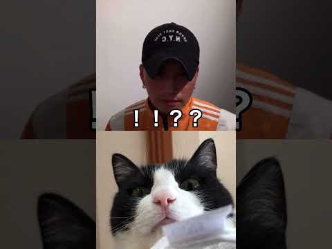 【市原隼人】見知らぬ猫に乱入されて徐々に焦る大物俳優#Short