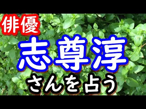 【占い】俳優 志尊淳さんを占う