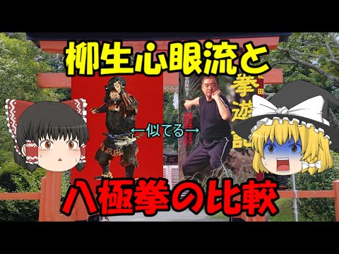 柳生心眼流と八極拳の比較