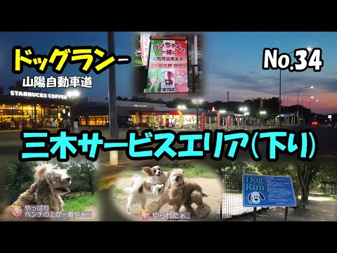 【ドッグラン 三木サービスエリア】神戸のアメリカンコッカースパニエル「ニコル」と「エレン」と「ソフィア」の日記