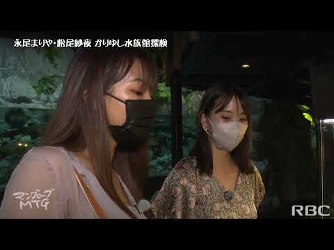 マングローブMTG#21 元AKB48永尾まりや&タレント松尾紗夜が神秘の水族館に潜入!