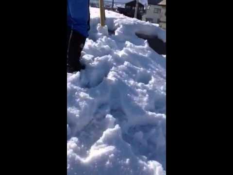 Snow dive In HIROSAKI
