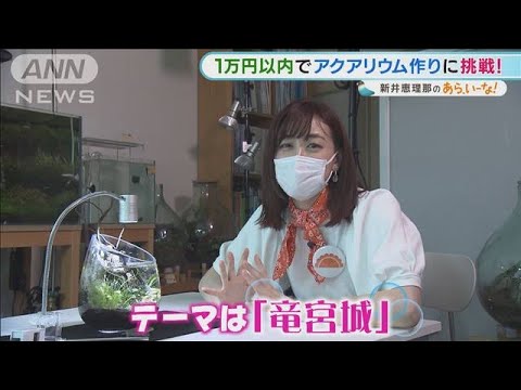 新井恵理那の“おうちアクアリウム”・・・出来栄えは?【あらいーな】(2021年9月22日)