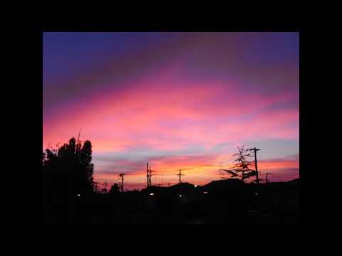 浅香唯 作業用BGM