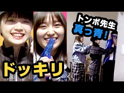 【ドッキリ大作戦】黒宮れい&大島涼花 がトンボ先生を真っ青に?!(笑)│ノールールガール#3のウラ側