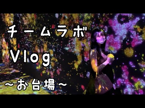 【おでかけVlog】チームラボボーダレスinお台場に潜入してみた!【Vol.1】