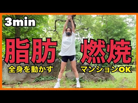 【1日3分】全身を動かして脂肪燃焼!!!