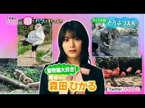 【欅坂46】 森田ひかるが「沼にハマってきいてみた10月26日」にゲスト出演!どうぶつえん沼 FULL SHOW