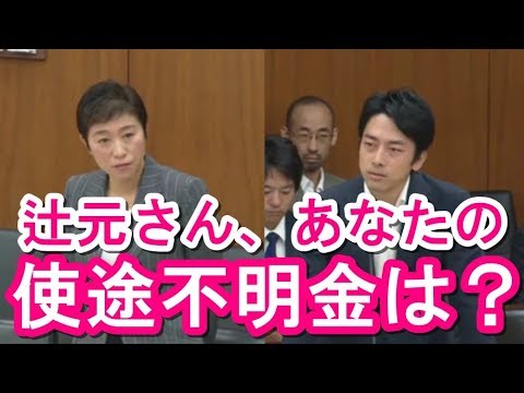 【面白国会中継】辻元清美の質疑を小泉進次郎が父親譲りの答弁で冷静に対応する!政務官に委員会で個人的な意見を言わせる考えがおかしい【アパッチのおたけび】