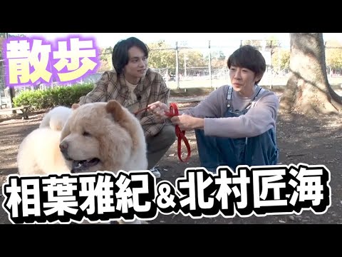 相葉雅紀と北村匠海で、犬のお散歩トーク