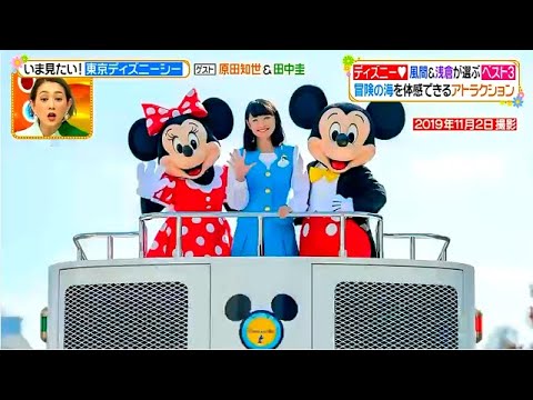 ヒルナンデス 21年12月10日風間俊介 浅倉大介が厳選 東京ディズニーシーおすすめベスト3 Full Show Mask9 Com