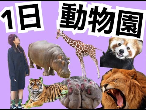 ヤギに餌あげたら衝撃すぎた【はづちゃんねる】