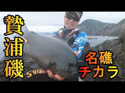 【三重県・贄浦磯】秋磯開幕戦!一級磯チカラを攻略・前編【つりとんチャンネル】