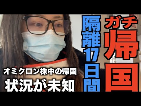 日本に帰国しました