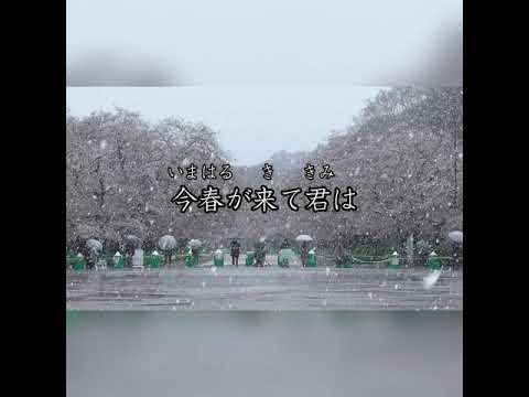 なごり雪 「岩佐美咲」 (日本語とふりがな)