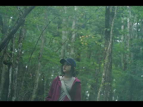 映画「樹海村」特別予告編