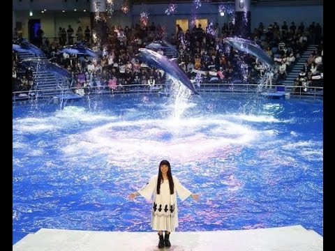 miwa、イルカと幻想的なコラボパフォーマンス。念願の飼育員にも挑戦で「夢のようです!」
