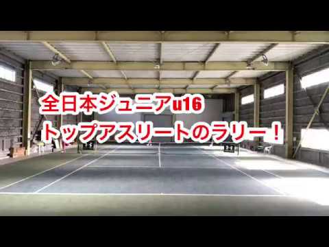 【テニス】見たくなる!真似したくなる!ジュニアトップアスリートのストロークはきれいで力強い!こんなストロークが打ちたい!