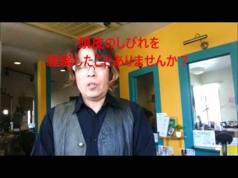健康で艶のある髪 ヘナ、オーガニックシャンプー 紗来(サライ)