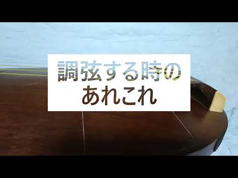 薩摩琵琶の音~BGM 琵琶:下野薬師寺~