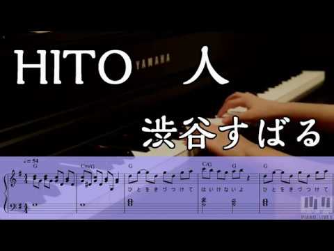 【楽譜・コード】HITO(人)/ 渋谷すばる