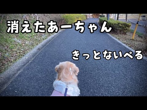 あーちゃんを探せ!きっとないぺる! ゴールデンレトリバー