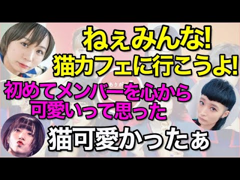 猫カフェに行ったメンバーが可愛過ぎるw