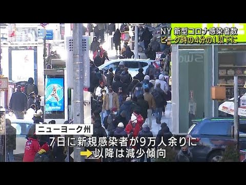 NYコロナ感染者 減少傾向・・・ピーク時の4分の1以下に(2022年1月19日)