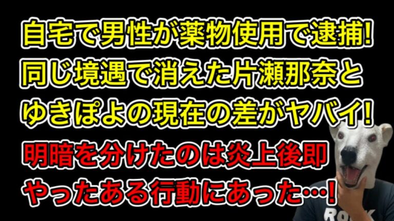 沢尻エリカ Mask9 Com
