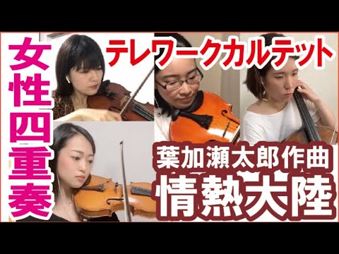 女子四重奏 小松みのり×三国瑞季×堤里美子×畑知里 テレワークカルテット 情熱大陸