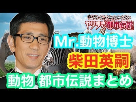 【作業用BGM】都市伝説 Mr 動物博士 柴田英嗣 トークまとめ