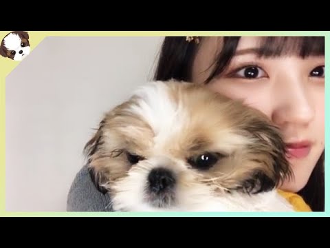 22/02/08 吉崎凜子 STU48 2期生