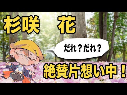 【杉咲花】片想いは実る?